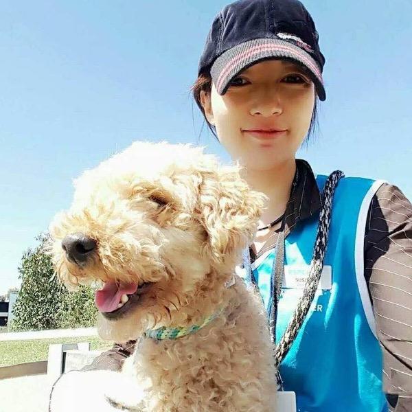 Pet Sitter Review