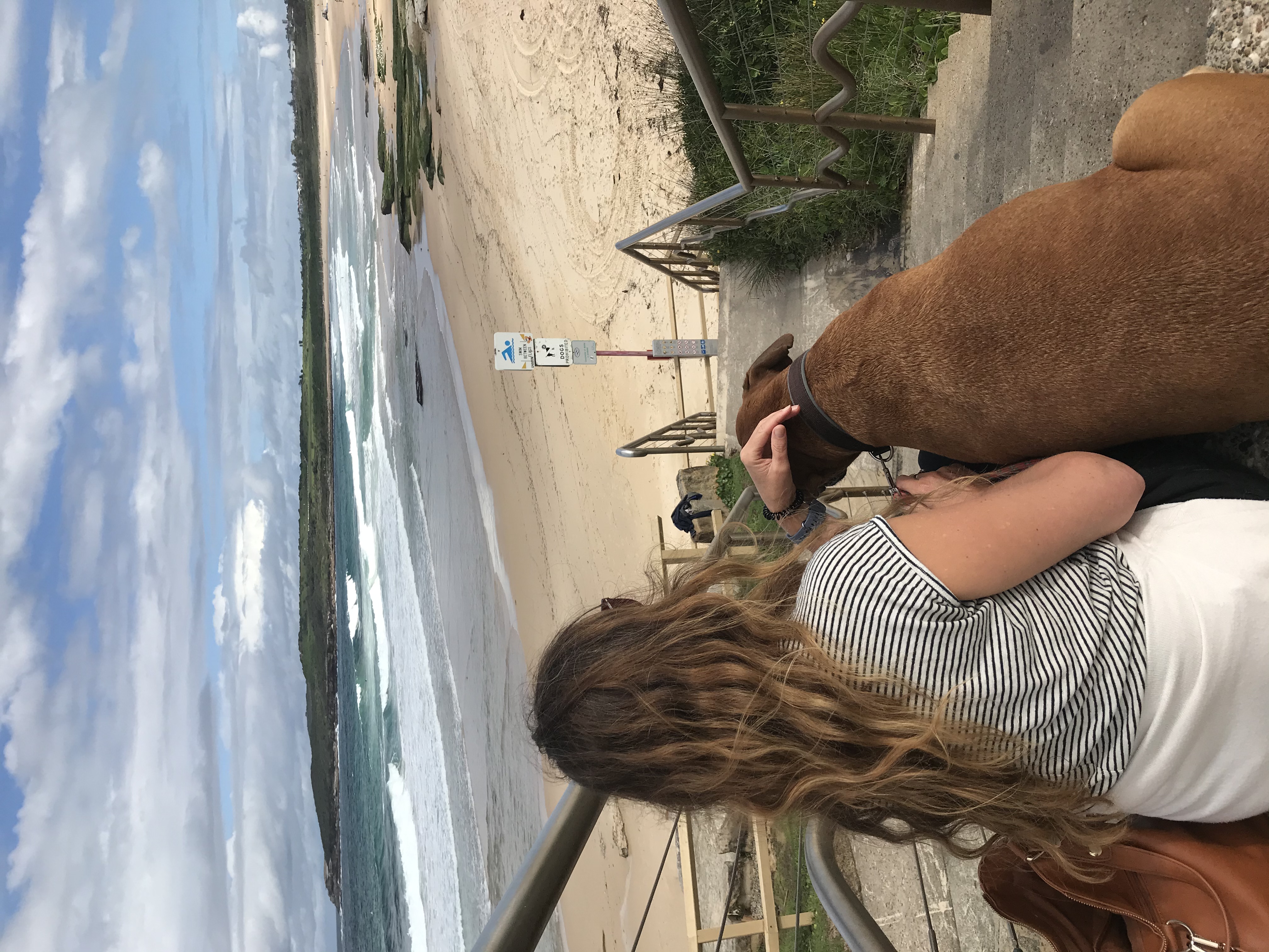 PetCloud Pet Owner