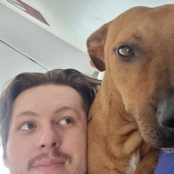 Pet Sitter Review