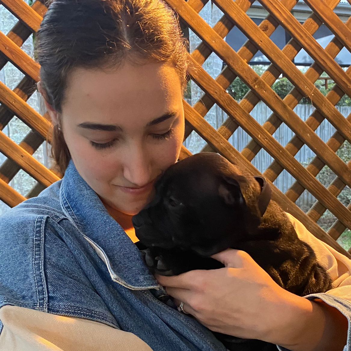 Pet Sitter Review