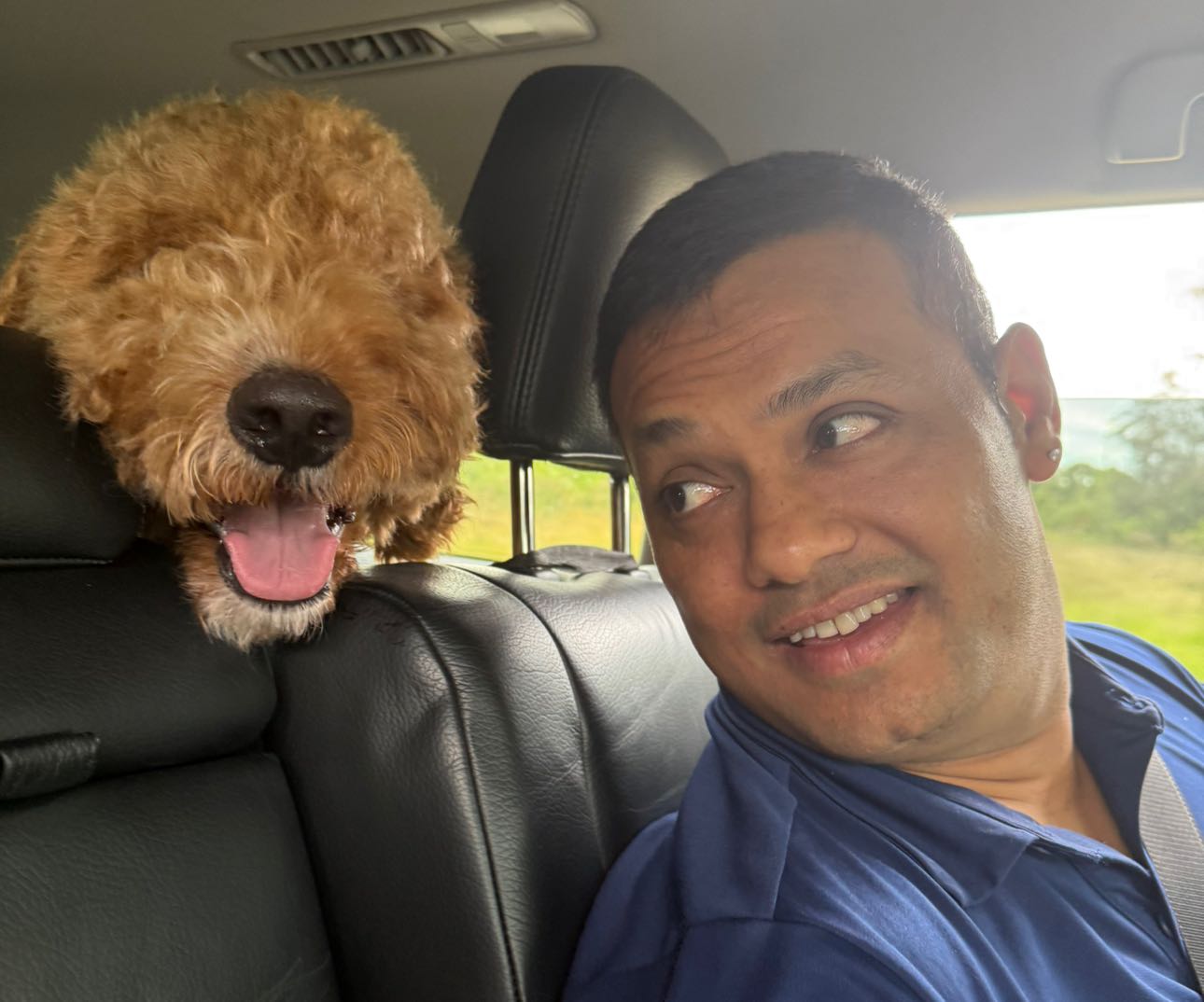 Pet Owner Review