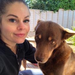 PetCloud Pet Owner