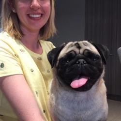 PetCloud Pet Owner