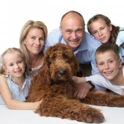 PetCloud Pet Owner