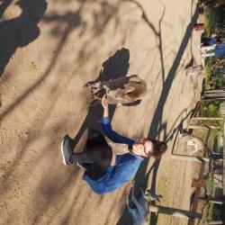PetCloud Pet Owner
