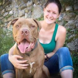 A Pet Sitter in Paddington, QLD with PetCloud named Ali V