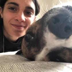 PetCloud Pet Owner