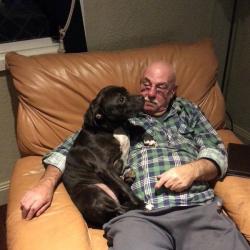 Past PetCloud client