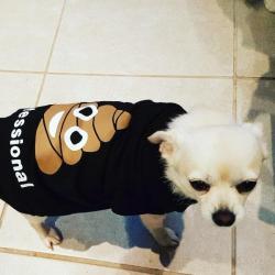 Past PetCloud client