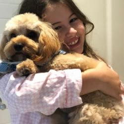 Past PetCloud client