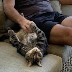 Past PetCloud client