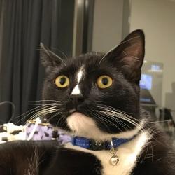 Past PetCloud client