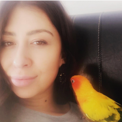 PetCloud Pet Owner